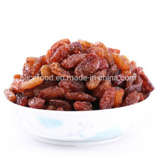 Wholesale New Crop 2020 Sultana Raisin with Reasonable Price